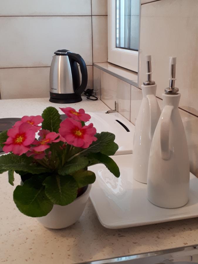 Momentera Apartments Kotor Ngoại thất bức ảnh